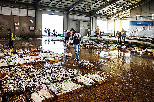 포토 JPG 주간 여자 남자 여행 한국 풍경 여러명 야외 관광지 꽃게 전라북도 상인 해산물 국내여행 군산 어판장 국내포토 자연요소 아시아 다수 사람 게 시장 전라도 파일형식