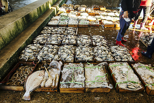 포토 JPG 주간 여자 남자 여행 한국 풍경 여러명 야외 관광지 꽃게 전라북도 상인 해산물 국내여행 군산 어판장 국내포토 자연요소 아시아 다수 사람 게 시장 전라도 파일형식