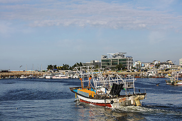 포토 JPG 주간 바다 여행 하늘 한국 풍경 사람없음 야외 관광지 어선 전라북도 국내여행 군산 서해 비응항 국내포토 자연요소 아시아 배_교통 항구 전라도 파일형식