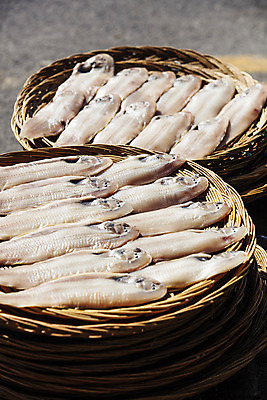 포토 JPG 주간 여행 한국 어류 풍경 사람없음 야외 관광지 바구니 전라북도 특산물 국내여행 군산 박대 국내포토 자연요소 아시아 수중동물 전라도 파일형식