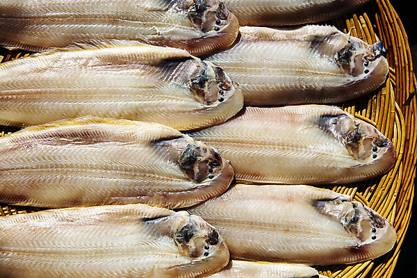 포토 JPG 주간 여행 한국 어류 풍경 사람없음 야외 관광지 바구니 전라북도 특산물 국내여행 군산 박대 국내포토 자연요소 아시아 수중동물 전라도 파일형식