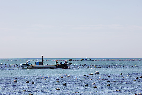 포토 JPG 주간 바다 여행 하늘 한국 어업 풍경 사람없음 야외 어선 해조류 국내여행 다시마 국내포토 기장군 자연요소 산업 아시아 배_교통 해양식물 부산 파일형식