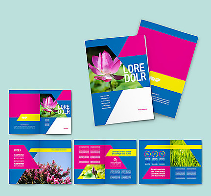 나무 식물 템플릿 꽃 ZIP 리플렛 자연 연꽃 팜플렛 사람없음 파란색 연못 인디자인 INDD 이미지템플릿 컬러 생태계 파일형식