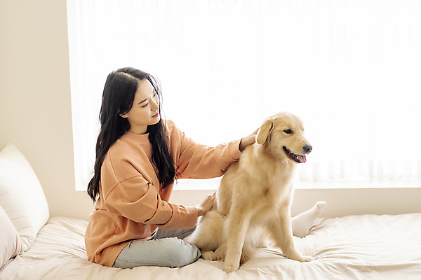 포토 JPG 전신 한마리 여자 반려견 실내 한명 앉기 20대 성인 옆모습 반려동물 화목 한국인 침대 골든리트리버 강아지 창가 즐거움 교감 반려 성인여자한명만 쓰다듬기 펫팸족 국내포토 동물 1 감정 뷰포인트 가구 컨셉 창문 모션 사람 동양인 청년 내부 개 리트리버 신조어 여자한명만 성인여자만 파일형식