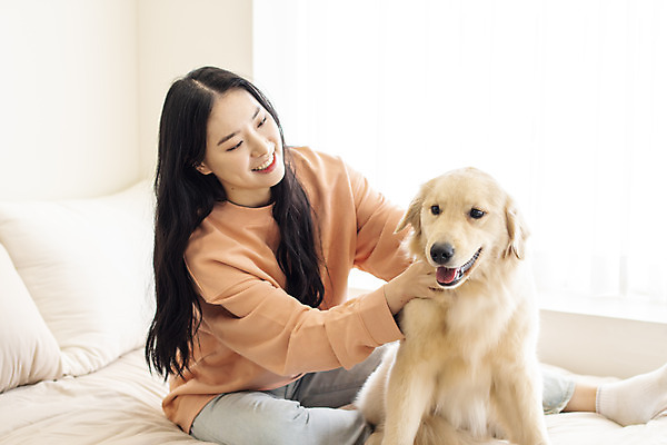 포토 JPG 전신 한마리 여자 반려견 실내 한명 미소 앉기 20대 성인 앞모습 반려동물 화목 한국인 침대 골든리트리버 강아지 창가 즐거움 교감 반려 성인여자한명만 쓰다듬기 펫팸족 국내포토 동물 1 감정 뷰포인트 가구 컨셉 창문 모션 표정 사람 동양인 청년 내부 개 리트리버 신조어 여자한명만 성인여자만 파일형식