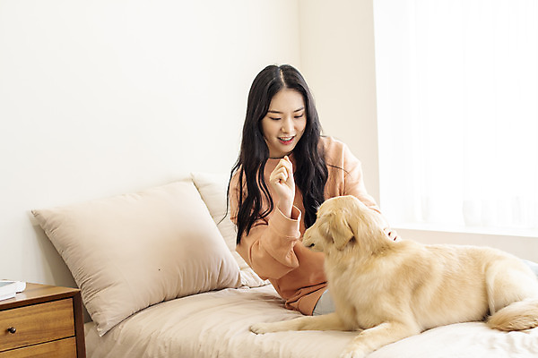 포토 JPG 한마리 여자 반려견 실내 한명 앉기 상반신 20대 성인 앞모습 반려동물 화목 한국인 침대 골든리트리버 강아지 창가 즐거움 교감 반려 성인여자한명만 쓰다듬기 펫팸족 국내포토 동물 1 감정 뷰포인트 가구 컨셉 창문 모션 사람 동양인 청년 내부 개 리트리버 신조어 여자한명만 성인여자만 파일형식