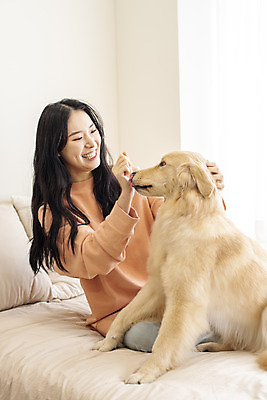 포토 JPG 한마리 여자 반려견 장난 실내 한명 웃음 앉기 상반신 20대 성인 앞모습 반려동물 화목 한국인 침대 골든리트리버 강아지 창가 즐거움 교감 반려 성인여자한명만 펫팸족 국내포토 동물 1 감정 뷰포인트 가구 컨셉 창문 모션 표정 사람 동양인 청년 내부 개 리트리버 신조어 여자한명만 성인여자만 파일형식