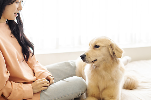 포토 JPG 전신 한마리 응시 여자 반려견 실내 한명 앉기 20대 성인 옆모습 반려동물 화목 한국인 침대 골든리트리버 강아지 즐거움 교감 반려 성인여자한명만 펫팸족 국내포토 동물 1 시선 감정 뷰포인트 가구 컨셉 모션 사람 동양인 청년 내부 개 리트리버 신조어 여자한명만 성인여자만 파일형식