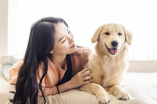 포토 JPG 전신 한마리 응시 여자 반려견 엎드리기 실내 한명 20대 성인 앞모습 반려동물 화목 한국인 침대 골든리트리버 강아지 즐거움 교감 반려 성인여자한명만 펫팸족 국내포토 동물 1 시선 감정 뷰포인트 가구 컨셉 모션 사람 동양인 청년 내부 개 리트리버 신조어 여자한명만 성인여자만 파일형식