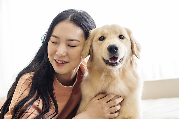 포토 JPG 한마리 여자 반려견 실내 한명 앉기 상반신 20대 성인 앞모습 반려동물 눈감음 화목 한국인 침대 골든리트리버 강아지 즐거움 교감 반려 성인여자한명만 펫팸족 국내포토 동물 1 감정 뷰포인트 가구 컨셉 모션 사람 동양인 청년 내부 개 리트리버 신조어 여자한명만 성인여자만 파일형식