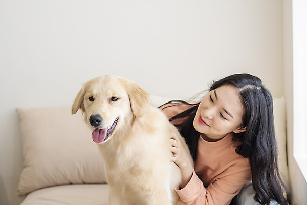 포토 JPG 한마리 여자 반려견 실내 한명 미소 앉기 상반신 20대 성인 앞모습 반려동물 화목 한국인 침대 골든리트리버 강아지 즐거움 교감 반려 성인여자한명만 펫팸족 국내포토 동물 1 감정 뷰포인트 가구 컨셉 모션 표정 사람 동양인 청년 내부 개 리트리버 신조어 여자한명만 성인여자만 파일형식