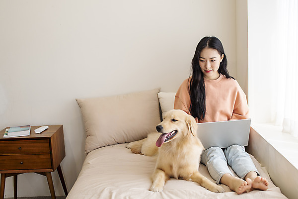 포토 JPG 전신 한마리 여자 반려견 실내 한명 앉기 20대 성인 앞모습 노트북 반려동물 화목 한국인 침대 골든리트리버 강아지 창가 즐거움 교감 반려 성인여자한명만 펫팸족 국내포토 동물 1 감정 뷰포인트 가구 컨셉 창문 모션 사람 동양인 청년 내부 전자제품 개 리트리버 신조어 여자한명만 성인여자만 파일형식