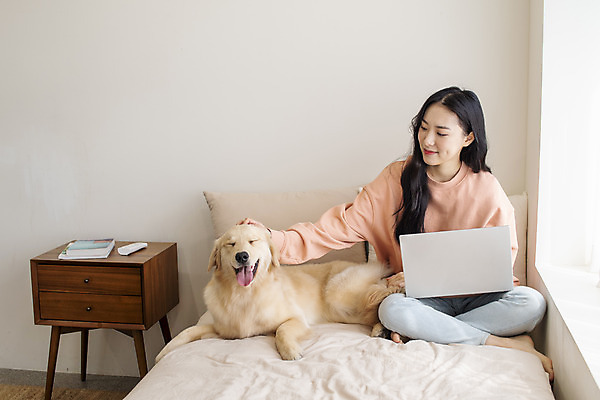 포토 JPG 전신 한마리 여자 반려견 실내 한명 앉기 20대 성인 앞모습 노트북 반려동물 화목 한국인 침대 골든리트리버 강아지 창가 즐거움 교감 반려 성인여자한명만 쓰다듬기 펫팸족 국내포토 동물 1 감정 뷰포인트 가구 컨셉 창문 모션 사람 동양인 청년 내부 전자제품 개 리트리버 신조어 여자한명만 성인여자만 파일형식