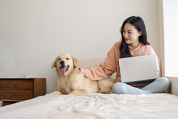 포토 JPG 전신 한마리 여자 반려견 실내 한명 앉기 20대 성인 앞모습 노트북 반려동물 화목 한국인 침대 골든리트리버 강아지 창가 즐거움 교감 반려 성인여자한명만 쓰다듬기 펫팸족 국내포토 동물 1 감정 뷰포인트 가구 컨셉 창문 모션 사람 동양인 청년 내부 전자제품 개 리트리버 신조어 여자한명만 성인여자만 파일형식