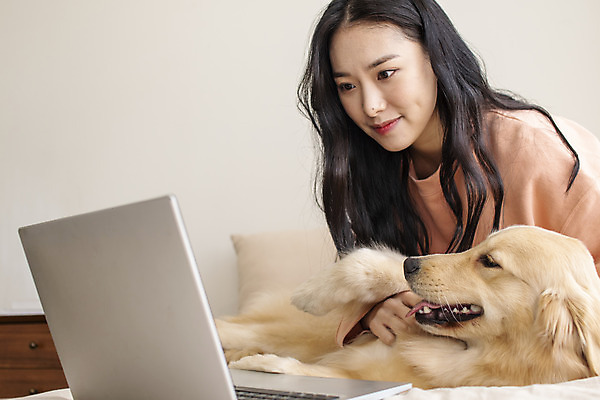 포토 JPG 한마리 응시 여자 반려견 실내 한명 앉기 상반신 20대 성인 앞모습 노트북 반려동물 화목 한국인 침대 골든리트리버 강아지 즐거움 교감 반려 성인여자한명만 펫팸족 국내포토 동물 1 시선 감정 뷰포인트 가구 컨셉 모션 사람 동양인 청년 내부 전자제품 개 리트리버 신조어 여자한명만 성인여자만 파일형식
