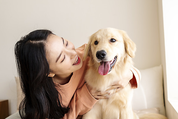 포토 JPG 한마리 여자 반려견 실내 한명 미소 앉기 상반신 20대 성인 앞모습 반려동물 화목 한국인 침대 골든리트리버 강아지 창가 즐거움 교감 반려 성인여자한명만 펫팸족 국내포토 동물 1 감정 뷰포인트 가구 컨셉 창문 모션 표정 사람 동양인 청년 내부 개 리트리버 신조어 여자한명만 성인여자만 파일형식