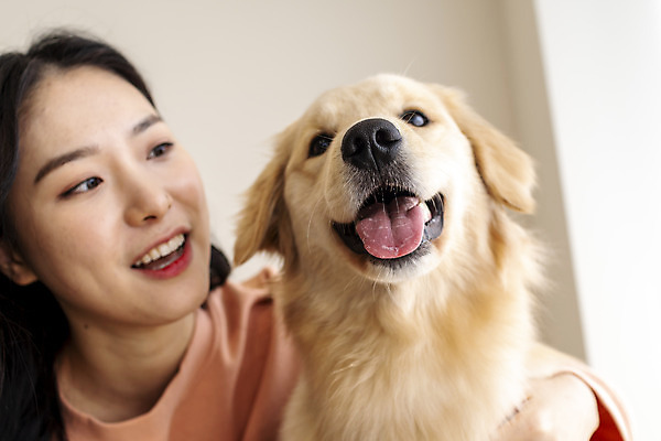 포토 JPG 한마리 응시 여자 반려견 로우앵글 실내 한명 미소 앉기 상반신 20대 성인 앞모습 반려동물 화목 한국인 골든리트리버 강아지 즐거움 교감 반려 성인여자한명만 펫팸족 국내포토 동물 1 시선 감정 뷰포인트 컨셉 모션 표정 사람 동양인 청년 내부 개 리트리버 신조어 여자한명만 성인여자만 파일형식