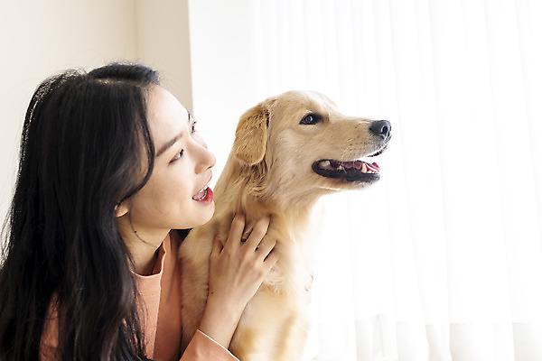 포토 JPG 한마리 여자 반려견 엎드리기 실내 한명 상반신 20대 성인 옆모습 반려동물 화목 한국인 골든리트리버 강아지 창가 즐거움 교감 반려 성인여자한명만 쓰다듬기 펫팸족 국내포토 동물 1 감정 뷰포인트 컨셉 창문 모션 사람 동양인 청년 내부 개 리트리버 신조어 여자한명만 성인여자만 파일형식
