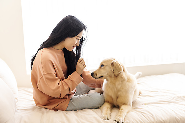 포토 JPG 전신 한마리 여자 반려견 실내 한명 미소 앉기 20대 성인 옆모습 반려동물 화목 한국인 침대 골든리트리버 강아지 즐거움 교감 반려 성인여자한명만 펫팸족 국내포토 동물 1 감정 뷰포인트 가구 컨셉 모션 표정 사람 동양인 청년 내부 개 리트리버 신조어 여자한명만 성인여자만 파일형식