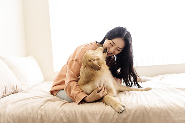 포토 JPG 한마리 여자 반려견 장난 키스 실내 한명 앉기 상반신 20대 성인 옆모습 반려동물 화목 한국인 침대 골든리트리버 강아지 즐거움 교감 반려 성인여자한명만 펫팸족 국내포토 동물 1 감정 뷰포인트 가구 컨셉 모션 사람 동양인 청년 내부 개 리트리버 애정표현 신조어 여자한명만 성인여자만 파일형식