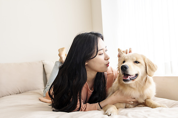 포토 JPG 전신 한마리 여자 반려견 엎드리기 실내 한명 20대 성인 앞모습 반려동물 화목 한국인 침대 골든리트리버 강아지 창가 즐거움 교감 반려 성인여자한명만 펫팸족 국내포토 동물 1 감정 뷰포인트 가구 컨셉 창문 모션 사람 동양인 청년 내부 개 리트리버 신조어 여자한명만 성인여자만 파일형식