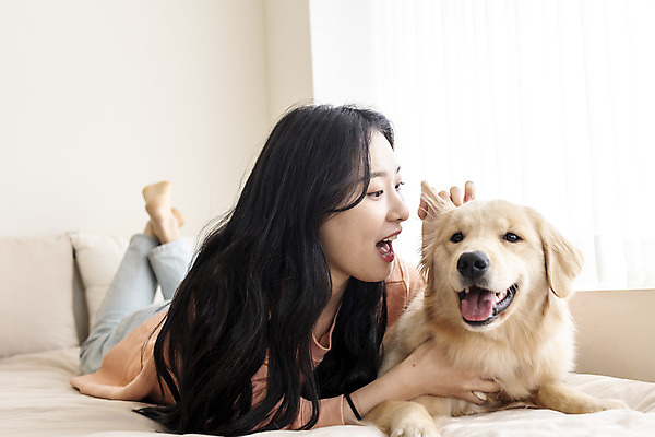 포토 JPG 전신 한마리 여자 반려견 엎드리기 실내 한명 20대 성인 앞모습 반려동물 화목 한국인 침대 골든리트리버 강아지 창가 즐거움 교감 반려 성인여자한명만 펫팸족 국내포토 동물 1 감정 뷰포인트 가구 컨셉 창문 모션 사람 동양인 청년 내부 개 리트리버 신조어 여자한명만 성인여자만 파일형식