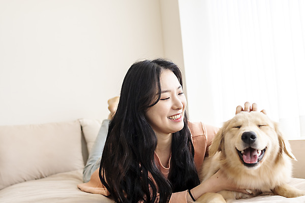 포토 JPG 전신 한마리 여자 반려견 엎드리기 실내 한명 미소 20대 성인 앞모습 반려동물 화목 한국인 침대 골든리트리버 강아지 창가 즐거움 교감 반려 성인여자한명만 쓰다듬기 펫팸족 국내포토 동물 1 감정 뷰포인트 가구 컨셉 창문 모션 표정 사람 동양인 청년 내부 개 리트리버 신조어 여자한명만 성인여자만 파일형식