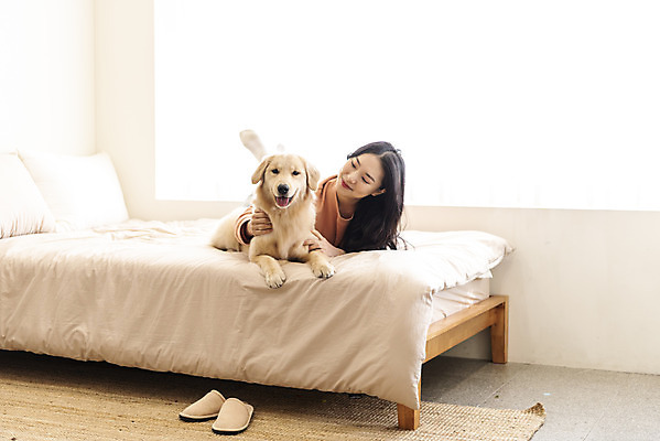 포토 JPG 전신 한마리 여자 반려견 엎드리기 슬리퍼 실내 한명 미소 20대 성인 앞모습 반려동물 화목 한국인 침대 골든리트리버 강아지 즐거움 교감 반려 성인여자한명만 쓰다듬기 펫팸족 국내포토 동물 1 감정 뷰포인트 가구 신발 컨셉 모션 표정 사람 동양인 청년 내부 개 리트리버 신조어 여자한명만 성인여자만 파일형식