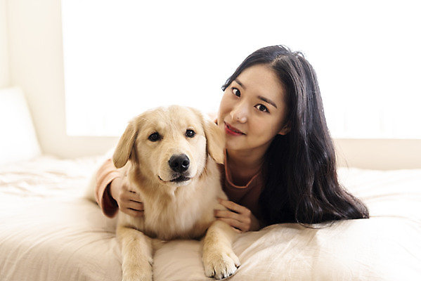 포토 JPG 한마리 여자 반려견 엎드리기 실내 한명 미소 상반신 20대 성인 앞모습 반려동물 화목 한국인 침대 골든리트리버 강아지 즐거움 교감 반려 성인여자한명만 펫팸족 국내포토 동물 1 감정 뷰포인트 가구 컨셉 모션 표정 사람 동양인 청년 내부 개 리트리버 신조어 여자한명만 성인여자만 파일형식