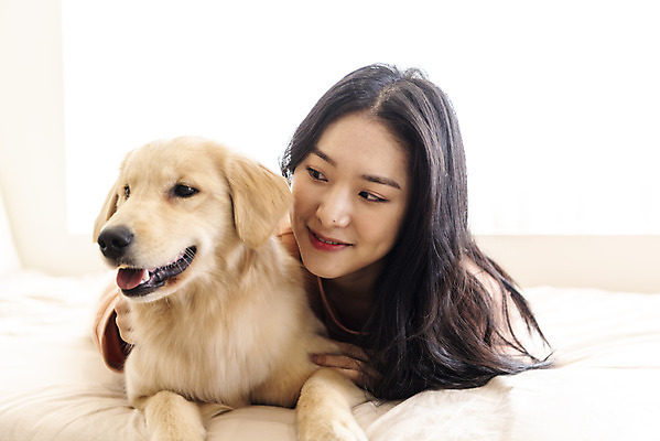 포토 JPG 한마리 여자 반려견 엎드리기 실내 한명 미소 상반신 20대 성인 앞모습 반려동물 화목 한국인 침대 골든리트리버 강아지 즐거움 교감 반려 성인여자한명만 펫팸족 국내포토 동물 1 감정 뷰포인트 가구 컨셉 모션 표정 사람 동양인 청년 내부 개 리트리버 신조어 여자한명만 성인여자만 파일형식
