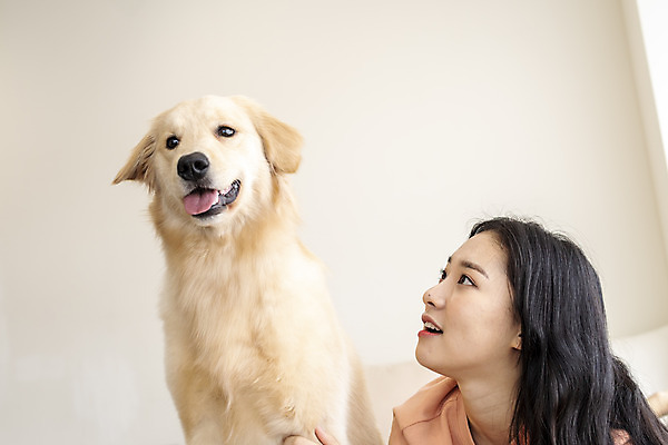 포토 JPG 한마리 응시 여자 반려견 실내 한명 앉기 상반신 20대 성인 앞모습 반려동물 화목 한국인 침대 골든리트리버 강아지 즐거움 반려 성인여자한명만 펫팸족 국내포토 동물 1 시선 감정 뷰포인트 가구 컨셉 모션 사람 동양인 청년 내부 개 리트리버 신조어 여자한명만 성인여자만 파일형식