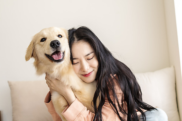 포토 JPG 한마리 여자 반려견 안기 실내 한명 앉기 상반신 20대 성인 앞모습 반려동물 화목 한국인 골든리트리버 강아지 즐거움 교감 반려 성인여자한명만 펫팸족 국내포토 동물 1 감정 뷰포인트 컨셉 모션 사람 동양인 청년 내부 개 리트리버 신조어 여자한명만 성인여자만 파일형식