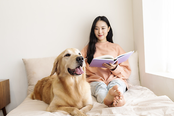 포토 JPG 전신 한마리 여자 반려견 실내 한명 앉기 20대 성인 앞모습 책 반려동물 독서 화목 한국인 침대 골든리트리버 강아지 즐거움 반려 성인여자한명만 펫팸족 국내포토 동물 1 감정 뷰포인트 가구 컨셉 모션 사람 동양인 청년 내부 개 리트리버 신조어 여자한명만 성인여자만 파일형식