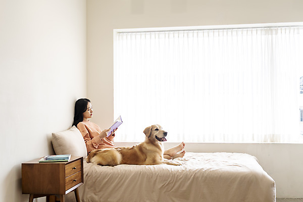 포토 JPG 전신 한마리 여자 반려견 실내 한명 앉기 20대 성인 옆모습 책 반려동물 독서 화목 한국인 침대 골든리트리버 강아지 즐거움 반려 성인여자한명만 펫팸족 국내포토 동물 1 감정 뷰포인트 가구 컨셉 모션 사람 동양인 청년 내부 개 리트리버 신조어 여자한명만 성인여자만 파일형식