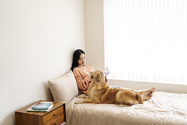 포토 JPG 전신 한마리 여자 반려견 실내 한명 앉기 20대 성인 옆모습 책 반려동물 독서 화목 한국인 침대 골든리트리버 강아지 즐거움 반려 성인여자한명만 펫팸족 국내포토 동물 1 감정 뷰포인트 가구 컨셉 모션 사람 동양인 청년 내부 개 리트리버 신조어 여자한명만 성인여자만 파일형식