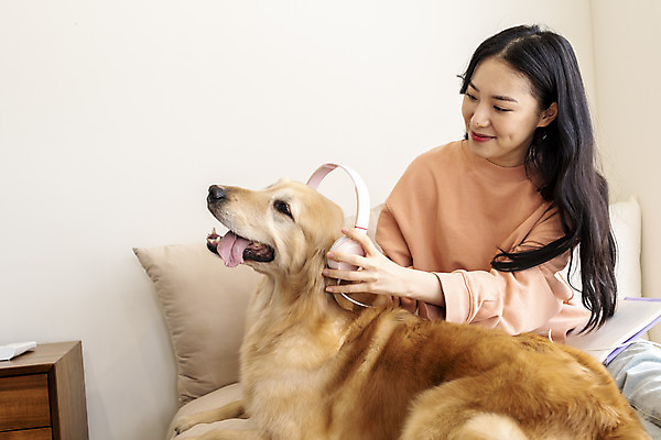 포토 JPG 한마리 여자 반려견 음악 실내 한명 앉기 상반신 20대 성인 앞모습 반려동물 헤드폰 헤드셋 화목 음악감상 한국인 침대 골든리트리버 강아지 즐거움 반려 성인여자한명만 펫팸족 국내포토 동물 1 감정 뷰포인트 음향기기 가구 컨셉 모션 문화예술 사람 동양인 청년 내부 감상 개 리트리버 신조어 여자한명만 성인여자만 파일형식