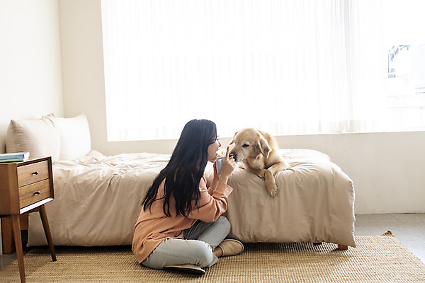 포토 JPG 전신 한마리 여자 반려견 실내 한명 앉기 20대 성인 옆모습 반려동물 화목 한국인 침대 골든리트리버 강아지 즐거움 교감 반려 성인여자한명만 펫팸족 국내포토 동물 1 감정 뷰포인트 가구 컨셉 모션 사람 동양인 청년 내부 개 리트리버 신조어 여자한명만 성인여자만 파일형식