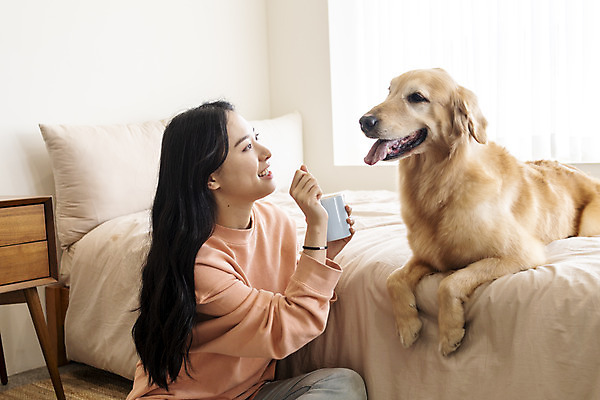 포토 JPG 한마리 여자 교육 반려견 실내 한명 앉기 상반신 20대 성인 옆모습 반려동물 화목 한국인 침대 골든리트리버 강아지 즐거움 교감 반려 성인여자한명만 펫팸족 국내포토 동물 1 감정 뷰포인트 가구 컨셉 모션 사람 동양인 청년 내부 개 리트리버 신조어 여자한명만 성인여자만 파일형식