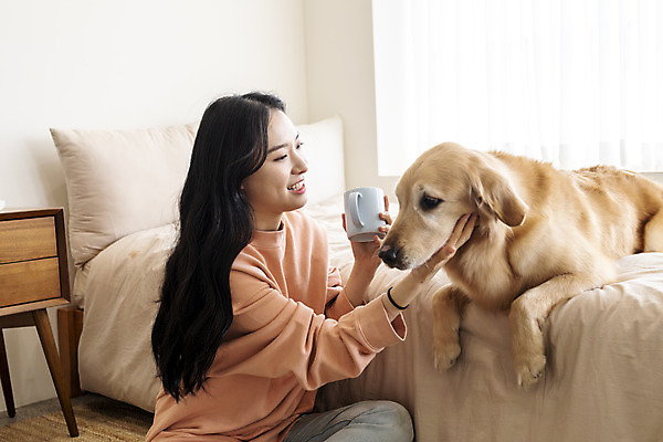 포토 JPG 한마리 여자 반려견 실내 한명 앉기 상반신 20대 성인 옆모습 반려동물 화목 한국인 침대 골든리트리버 강아지 즐거움 교감 반려 성인여자한명만 쓰다듬기 펫팸족 국내포토 동물 1 감정 뷰포인트 가구 컨셉 모션 사람 동양인 청년 내부 개 리트리버 신조어 여자한명만 성인여자만 파일형식