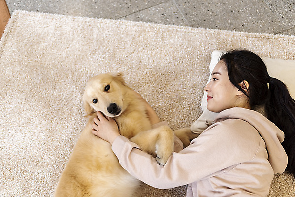 포토 JPG 한마리 여자 반려견 실내 한명 상반신 20대 성인 옆모습 반려동물 눕기 화목 한국인 골든리트리버 강아지 즐거움 교감 반려 성인여자한명만 쓰다듬기 펫팸족 국내포토 동물 1 감정 뷰포인트 컨셉 모션 사람 동양인 청년 내부 개 리트리버 신조어 여자한명만 성인여자만 파일형식