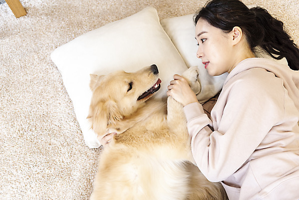 포토 JPG 한마리 여자 반려견 실내 한명 상반신 20대 성인 옆모습 반려동물 눕기 화목 한국인 골든리트리버 강아지 즐거움 반려 성인여자한명만 펫팸족 국내포토 동물 1 감정 뷰포인트 컨셉 모션 사람 동양인 청년 내부 개 리트리버 신조어 여자한명만 성인여자만 파일형식