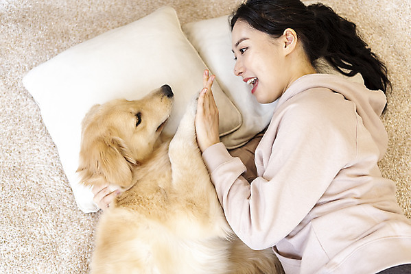 포토 JPG 한마리 여자 반려견 실내 한명 상반신 20대 성인 옆모습 반려동물 눕기 화목 한국인 골든리트리버 강아지 즐거움 하이파이브 반려 성인여자한명만 펫팸족 국내포토 동물 1 감정 뷰포인트 컨셉 모션 사람 동양인 손짓 청년 내부 개 리트리버 신조어 여자한명만 성인여자만 파일형식