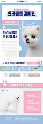 PSD 템플릿 ZIP 반려견 캠페인 분홍색 웹템플릿 하늘색 두마리 사람없음 반려동물 강아지 뉴스레터 반려 포메라니안 이미지템플릿 동물 컬러 2 파란색 개 파일형식