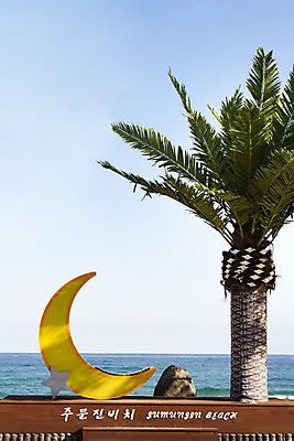 포토 JPG 주간 나무 바다 여행 한국 풍경 해변 사람없음 야외 관광지 야자수 조형물 달 해수욕장 강원도 강릉 국내여행 주문진 국내포토 자연요소 식물 아시아 미술 파일형식