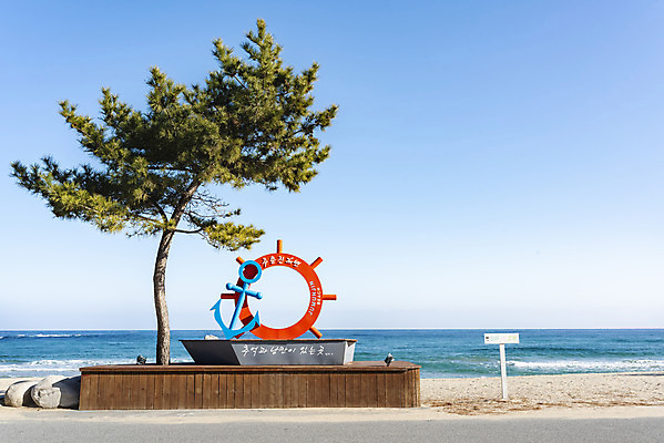 포토 JPG 주간 나무 모래 바다 여행 한국 풍경 해변 사람없음 야외 관광지 조형물 해수욕장 강원도 강릉 국내여행 주문진 국내포토 자연요소 식물 아시아 미술 파일형식