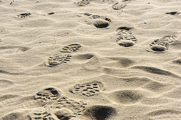 포토 JPG 주간 모래 바다 여행 한국 풍경 해변 사람없음 야외 관광지 모래사장 발자국 해수욕장 흔적 강원도 강릉 국내여행 주문진 국내포토 자연요소 아시아 자국 파일형식