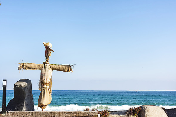 포토 JPG 주간 모래 바다 여행 한국 풍경 해변 사람없음 야외 관광지 조형물 돌_바위 해수욕장 허수아비 강원도 강릉 국내여행 주문진 국내포토 자연요소 아시아 농업 미술 파일형식
