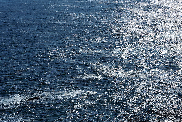 포토 JPG 주간 파도 바다 여행 한국 풍경 해변 사람없음 야외 관광지 강원도 강릉 국내여행 주문진 국내포토 자연요소 아시아 해수욕장 파일형식