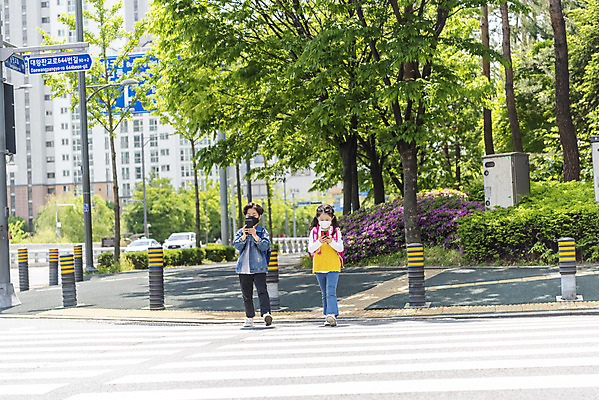 포토 JPG 주간 전신 여자 남자 어린이 마스크 서기 안전 야외 두명 앞모습 스마트폰 한국인 횡단보도 등교 등하교 하교 조심 스마트폰중독 스쿨존 어린이보호구역 어린이만 국내포토 자연요소 뷰포인트 모션 사람 동양인 핸드폰 스마트기기 보행로 중독 보호구역 파일형식