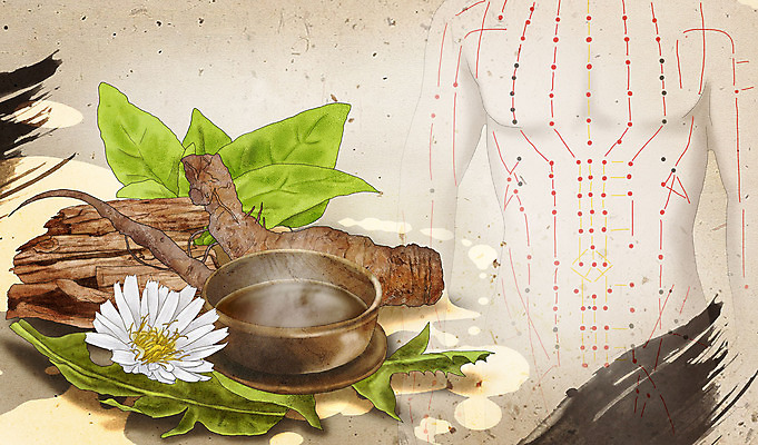 PSD 식물 그릇 일러스트 의학 사람모양 건강 사람없음 갈색 한의학 약재 한약재 약초 한약 민들레 뿌리 보양식 건강식품 탕약 혈자리 국내일러스트 모양 식기 꽃 음식 컬러 약 풀_식물 몸보신 파일형식